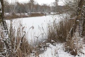 frozen small pond photo