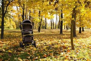 stroller   autumn season photo