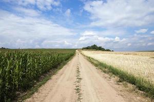 road in a field photo