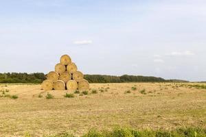 field pyramid straw photo