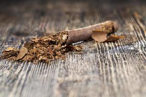 real tobacco from cigarettes photo