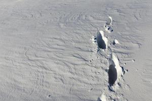 footprints and dents in the snow, winter season photo