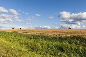 un campo agrícola foto