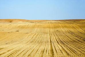 agricultural field with furrows photo