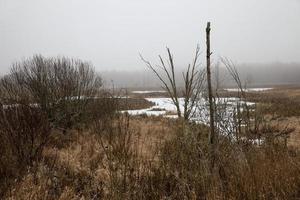 la nieve se acumula en el lago foto