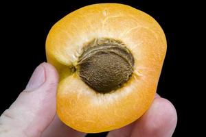 sliced ripe orange apricot photo