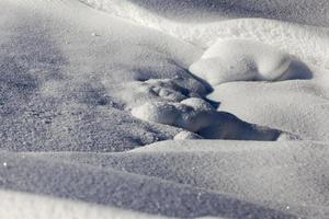 white cold snow in the winter season photo