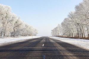 nevadas en la temporada de invierno y carretera asfaltada foto