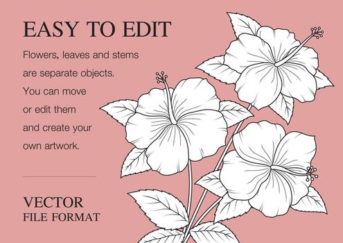 Beautiful hibiscus line art vector on sweet salmon pink color tone background with copy space for adding your text.