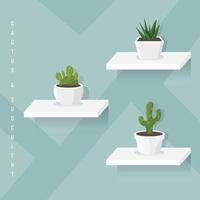 Cactus and Succulent at Floating Shelve vector