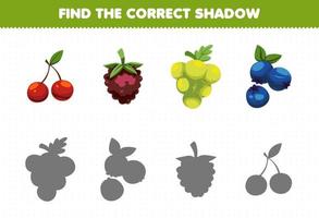 juego educativo para niños encuentra el juego de sombras correcto de frutas de bayas de dibujos animados cereza arándanos uva arándano vector