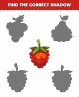 Education game for children find the correct shadow set of cartoon fruit raspberries vector