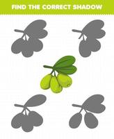 Education game for children find the correct shadow set of cartoon fruit olive vector