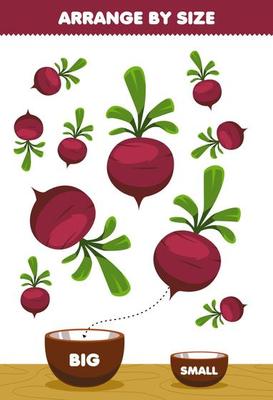 Education game for children arrange by size big or small put it in the bowl cartoon vegetable beet pictures