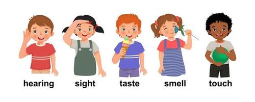 lindos niños pequeños, niños y niñas que muestran los cinco órganos de los sentidos que representan la audición, la vista, el gusto, el olfato y el tacto como partes del cuerpo humano