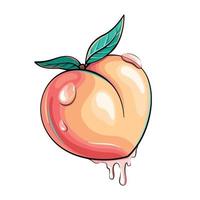 Butt-shaped, heart-shaped juicy peach, fruit with juice drops cartoon style illustration vector