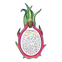 la mitad de una fruta de dragón, pitaya cortada, ilustración de estilo catroon vector