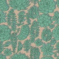 various succulents vector seamless pattern