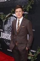 LOS ANGELES, JUN 9 -  Nick Robinson at the Jurassic World World Premiere at the Dolby Theater, Hollywood  and Highland on June 9, 2015 in Los Angeles, CA photo