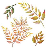 dried leaves of trees in boho style illustration vector