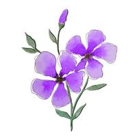 Illustration Of A Flower Drawn By Line And Watercolor. vector