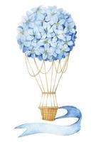 watercolor drawing hot air balloon with flowers. blue hydrangea. delicate pattern for girls, gentle balloon print. vector