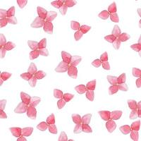 patrón de acuarela transparente con flores de hortensia rosa sobre un fondo blanco. lindo estampado para niños, para niñas. vector