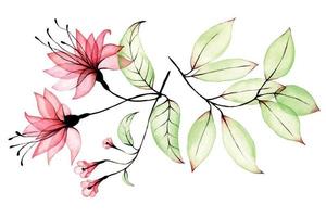 conjunto de dibujo acuarela de flores y hojas transparentes. flor tropical rosa transparente, hibisco y hojas tropicales verdes. colección de elementos aislados sobre fondo blanco. imágenes prediseñadas tropicales vector