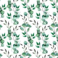 watercolor seamless pattern with green eucalyptus leaves on a white background. minimalistic delicate print. vector