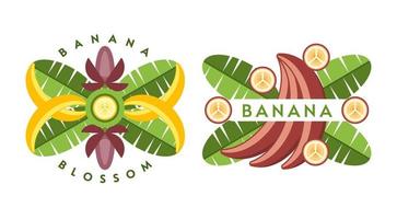 Set of logos, emblems, badges with yellow, red bananas, banana flowers, leaves, slices, bunch of bananas. Isolated vector illustration. Good for decoration of food package, creation of stickers. Flat