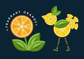 Set of emblems, badges in a shape of butterfly, flower with orange, lemon, green leaves, fruit slices. Good for decoration of food packaging, groceries, agriculture stores, advertising. Flat