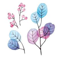 dibujo de acuarela. conjunto de hojas de eucalipto transparentes y bayas azules y rosas. hojas y ramas abstractas. colección para decoración de bodas, tarjeta de felicitación vector