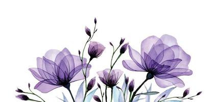 border, composition with transparent flowers. purple roses, wild rose flowers and leaves. delicate x-ray pattern vector