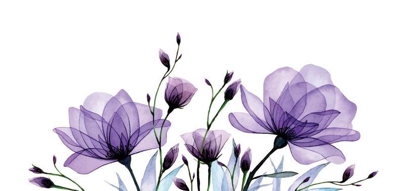 Border Vector Art, Icons, and Graphics for Free Download