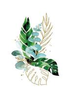 watercolor drawing. bouquet of tropical leaves with golden shining elements. green and gold leaves of palm, monstera, banana. composition, design vector