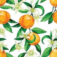 patrón de acuarela transparente con naranjas. naranjas naranjas, flores y hojas sobre un fondo blanco. impresión de la vendimia vector