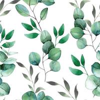 seamless watercolor pattern with eucalyptus leaves. delicate print, vintage pattern. green eucalyptus leaves on white background vector