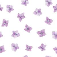 patrón de acuarela sin costuras con flores de hortensias violetas sobre un fondo blanco. lindo estampado para niños, para niñas. vector