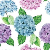 watercolor drawing. seamless pattern with hydrangea flowers. isolated on white background blue, pink, purple hydrangea flowers. vintage print, wallpaper design, fabrics, scrapbooking. vector