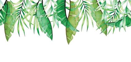watercolor seamless border with transparent tropical leaves. green banana and palm leaves. x-ray vector