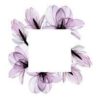 watercolor drawing, square frame with transparent magnolia flowers, pink transparent flowers in pastel colors, x-ray. isolated on white background. vintage design for wedding, perfumery, cosmetics vector