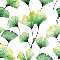 acuarela de patrones sin fisuras con hojas de ginkgo tropical. hojas transparentes de árbol de ginkgo aislado sobre fondo blanco, rayos x. delicado estampado botánico vector