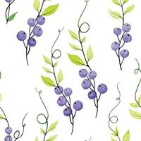 watercolor drawing by hands. seamless pattern of leaves and branches of Vicia cracca, green transparent leaves and purple berries. cute summer print in vintage style on white background vector