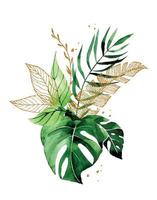 watercolor drawing. bouquet, composition of tropical leaves. gold and green leaves of palm, monstera. rainforest leaves vector