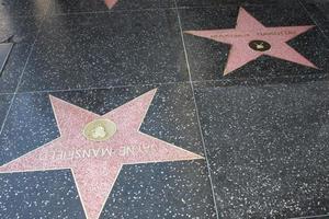 LOS ANGELES, NOV 8 -  Jayne Mansfield Star, Mariska Hargitay Star at the Mariska Hargitay Hollywood Walk of Fame Star Ceremony at Hollywood Blvd on November 8, 2013 in Los Angeles, CA photo