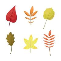 autumn leaves set vector