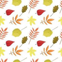 pattern with autumn leaves vector