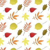 pattern with autumn leaves vector