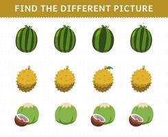 Education game for children find the different picture in each row fruits watermelon durian coconut vector