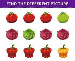 Education game for children find the different picture in each row vegetables tomato cabbage red cabbage paprika vector